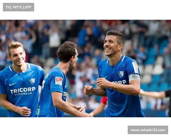 全面解析德甲直播平台选择与使用技巧，畅享顶级赛事直播体验