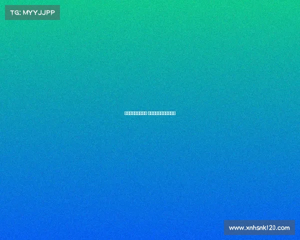 球员转会动态大解析 新赛季热门球员去向揭晓