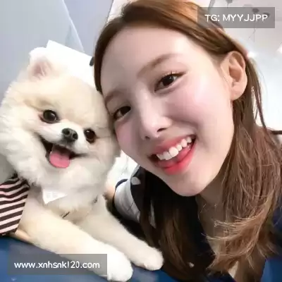 沈辉